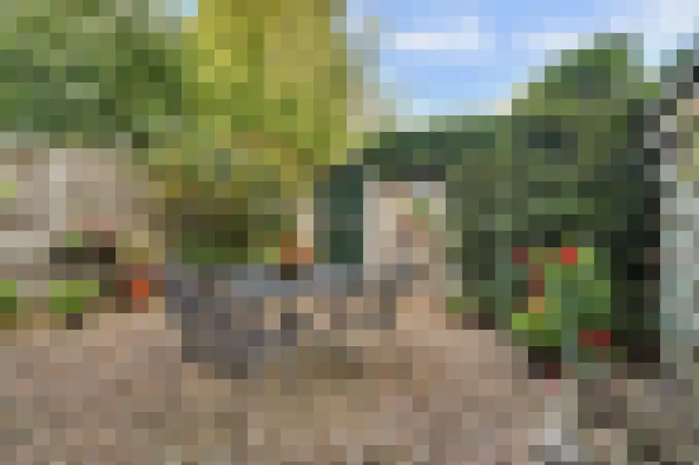 Noorder Parallelweg 89 Waalwijk thumbnail 6