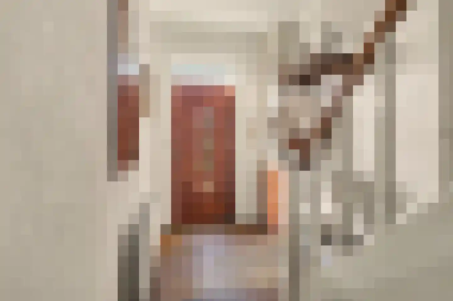 Noorder Parallelweg 89 Waalwijk thumbnail 7