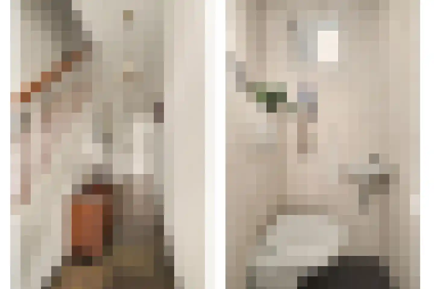 Noorder Parallelweg 89 Waalwijk thumbnail 8