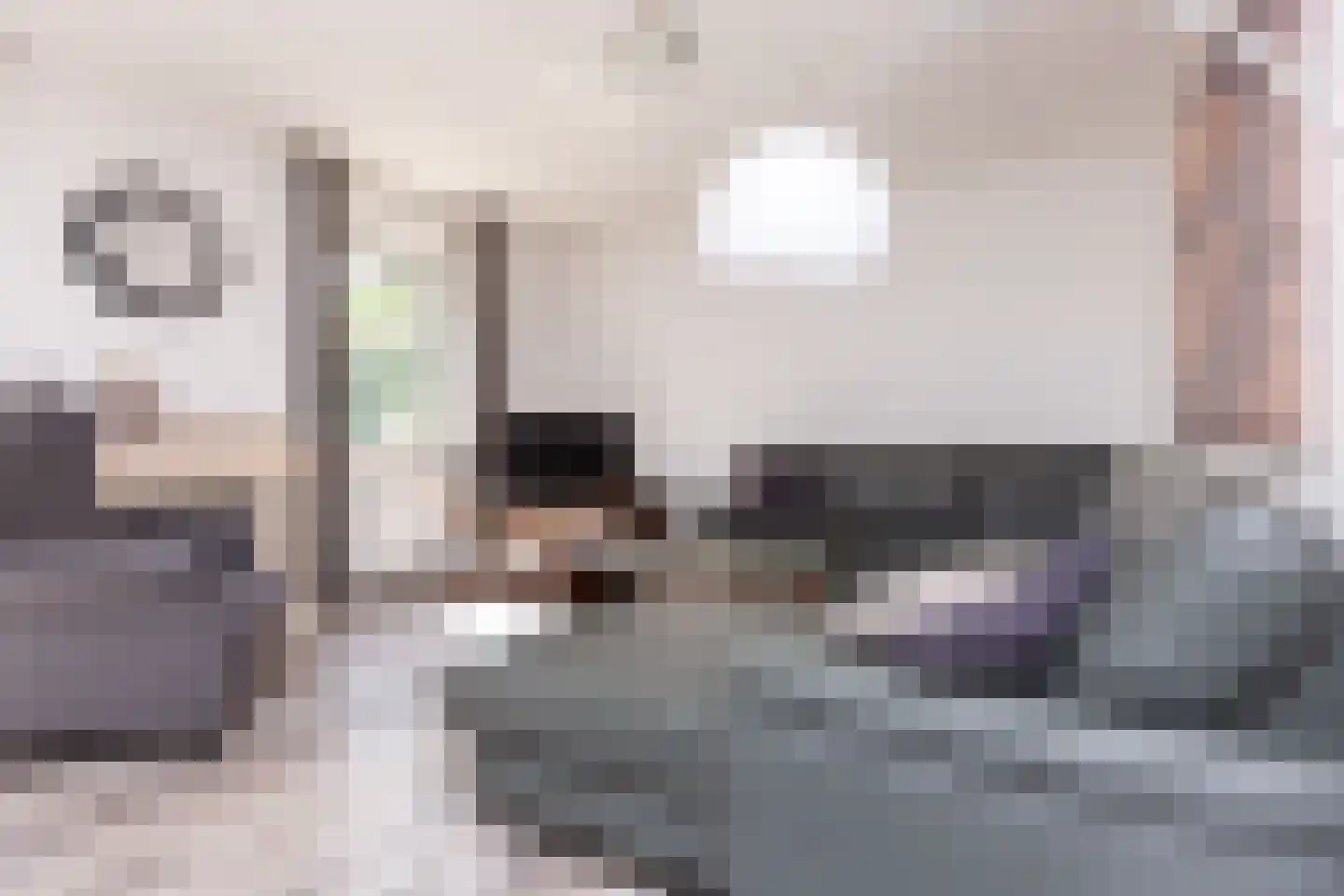 Noorder Sandt 4 17 Julianadorp thumbnail 11