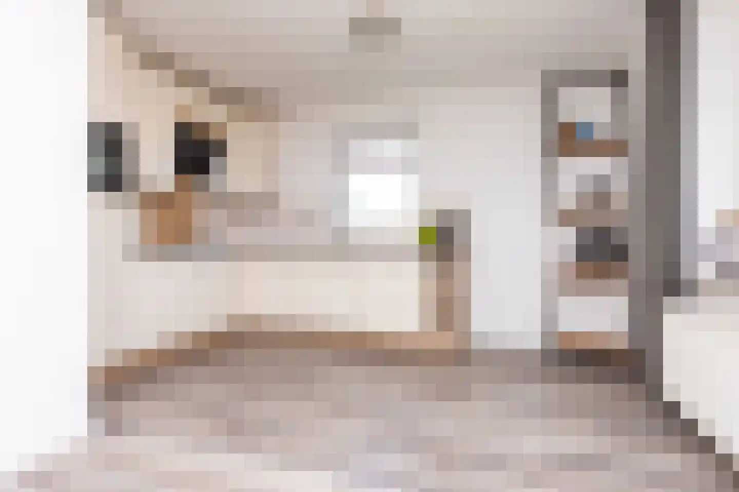Noorder Sandt 4 17 Julianadorp thumbnail 16