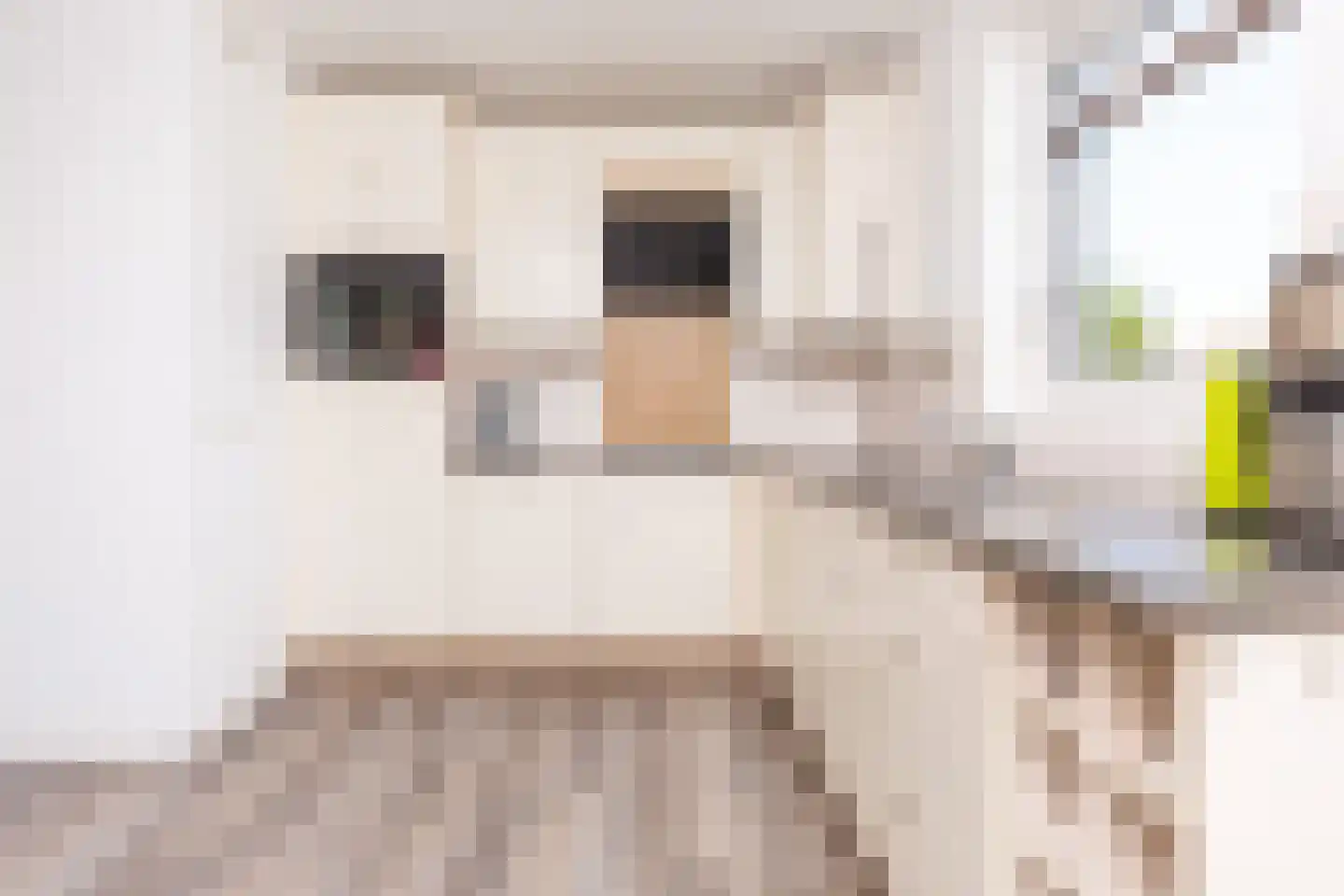 Noorder Sandt 4 17 Julianadorp thumbnail 17