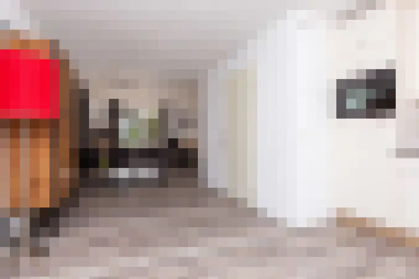 Noorder Sandt 4 17 Julianadorp thumbnail 18