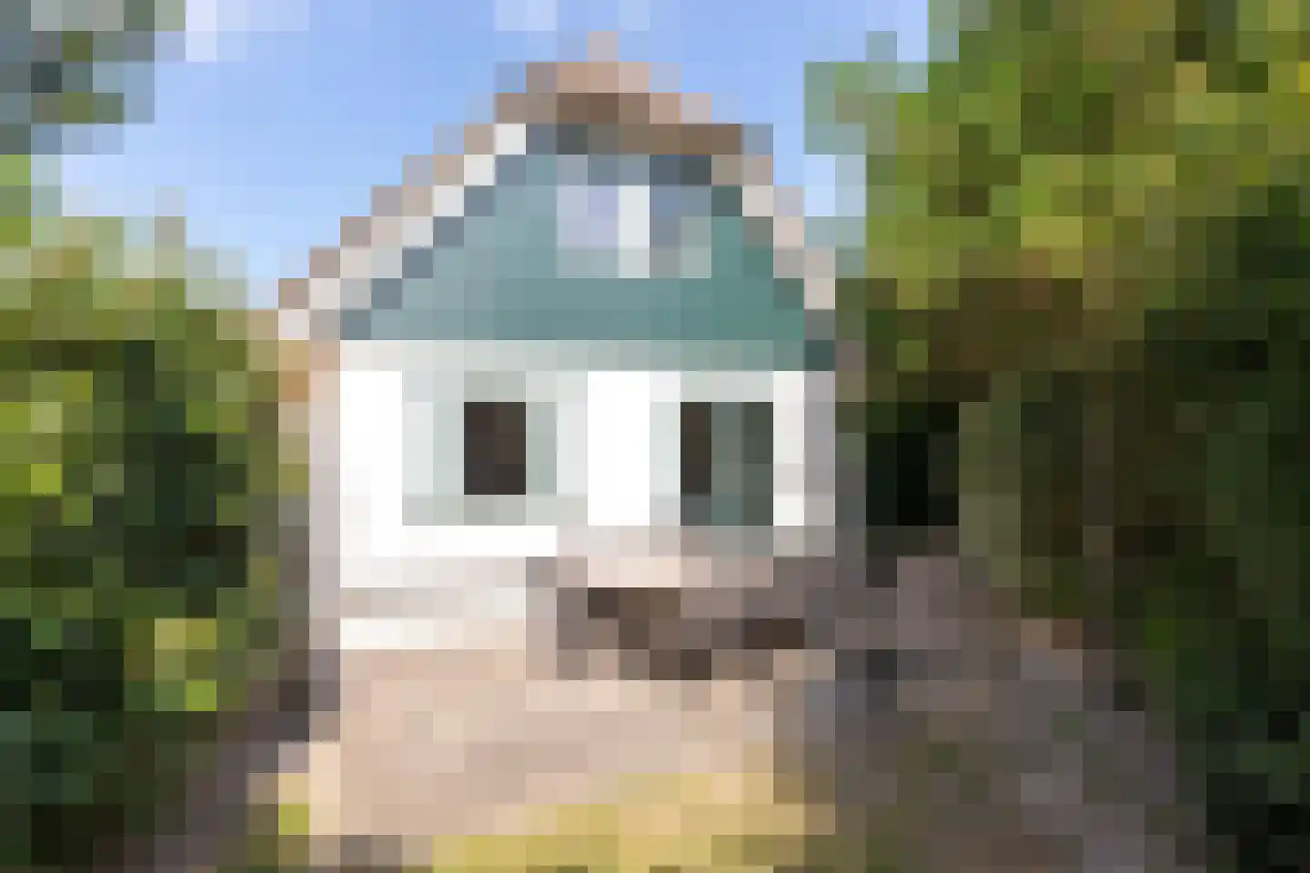 Noorder Sandt 4 17 Julianadorp thumbnail 20
