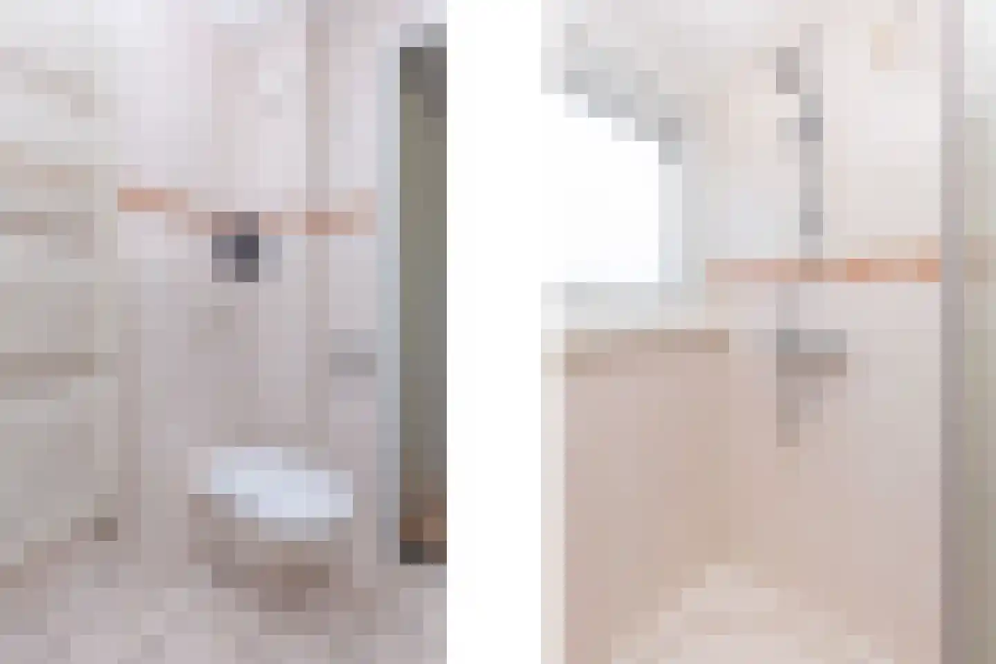 Noorder Sandt 4 17 Julianadorp thumbnail 31