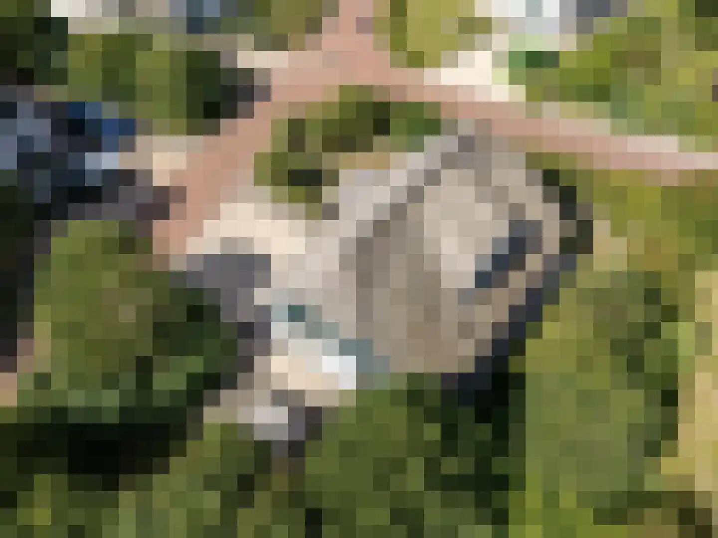 Noorder Sandt 4 17 Julianadorp thumbnail 38
