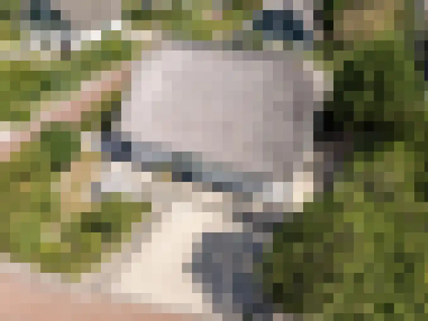 Noorder Sandt 4 17 Julianadorp thumbnail 39
