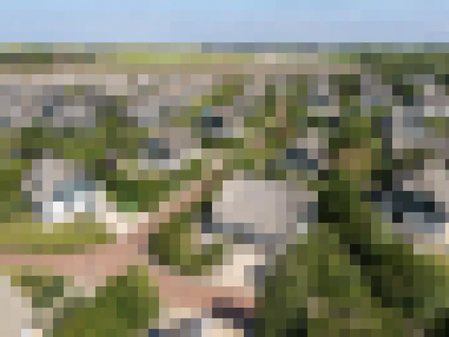 Noorder Sandt 4 17 Julianadorp thumbnail 4
