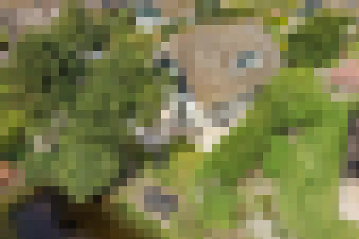 Noorder Sandt 4 19 Julianadorp thumbnail 36