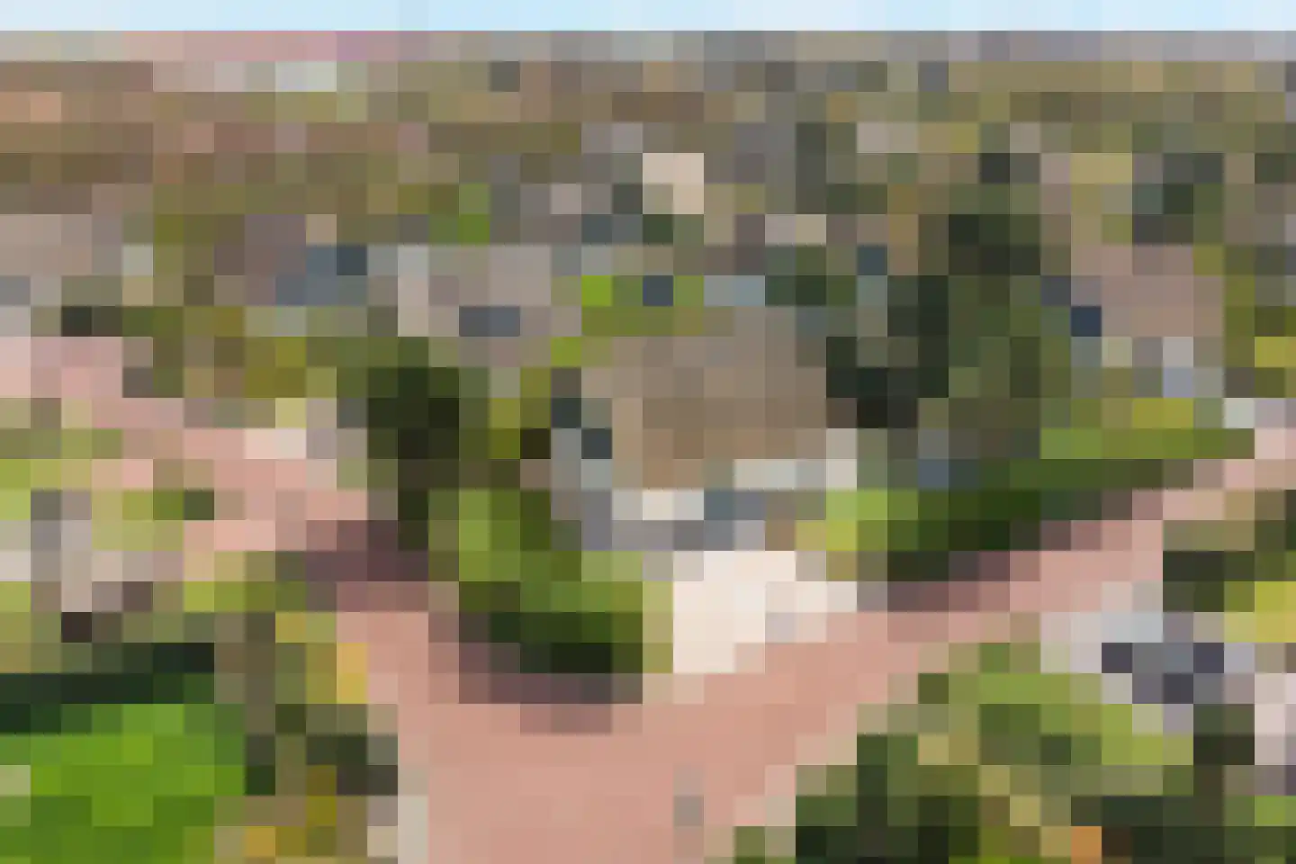 Noorder Sandt 4 19 Julianadorp thumbnail 37