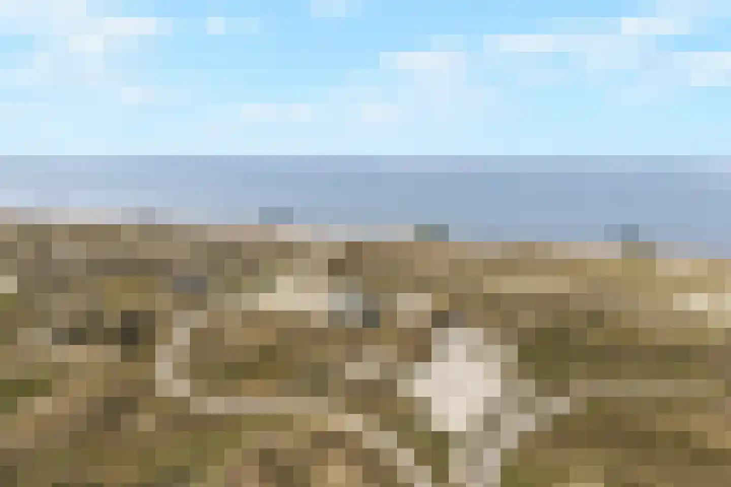 Noorder Sandt 4 19 Julianadorp thumbnail 42