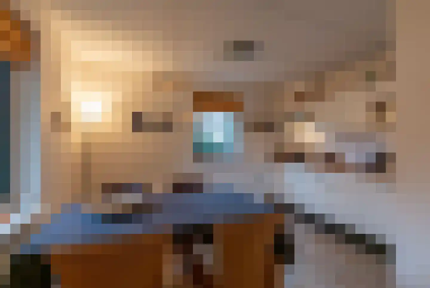 Noorder Sandt 4 36 Julianadorp thumbnail 11