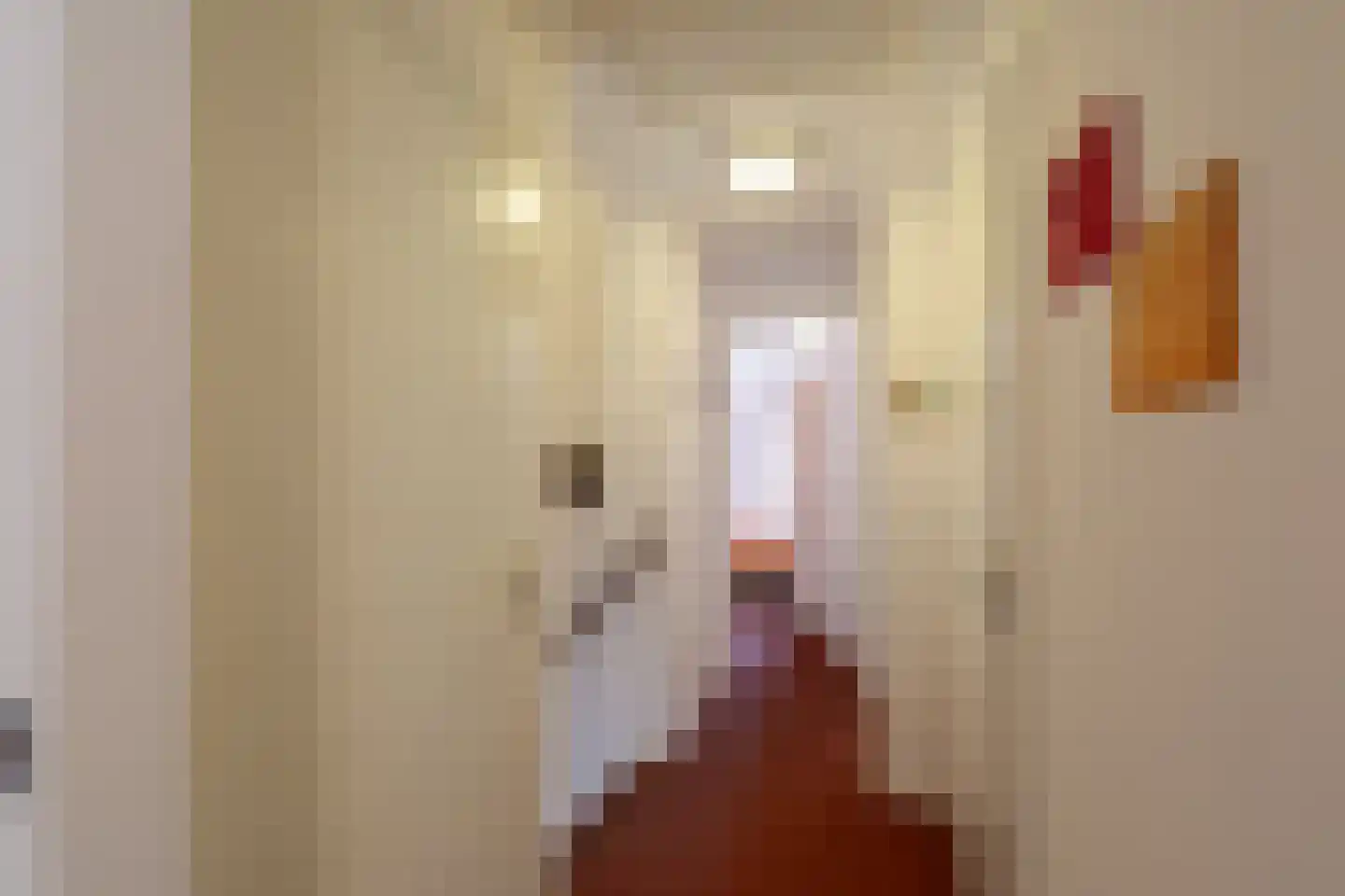 Noorder Sandt 4 36 Julianadorp thumbnail 18