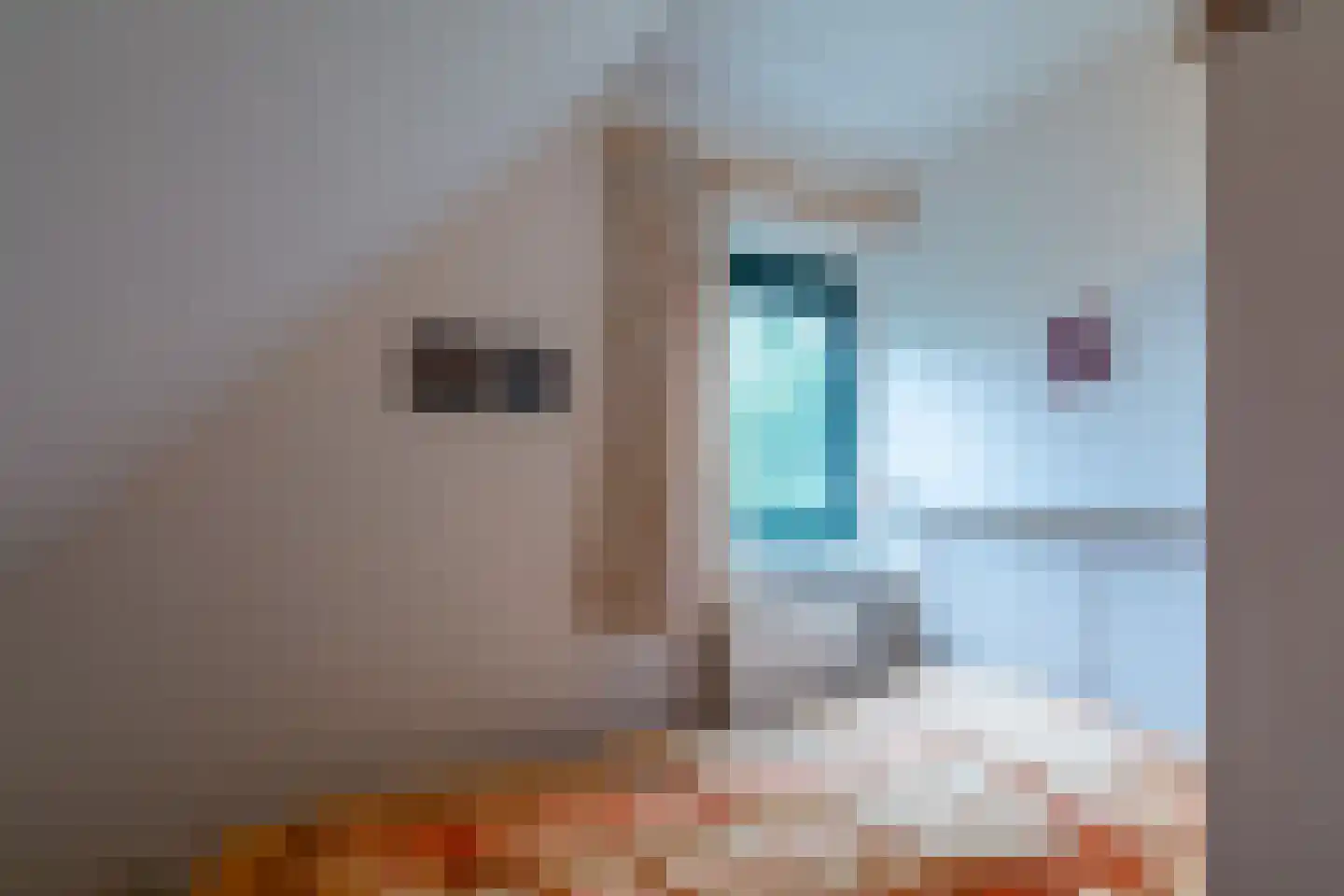 Noorder Sandt 4 36 Julianadorp thumbnail 23