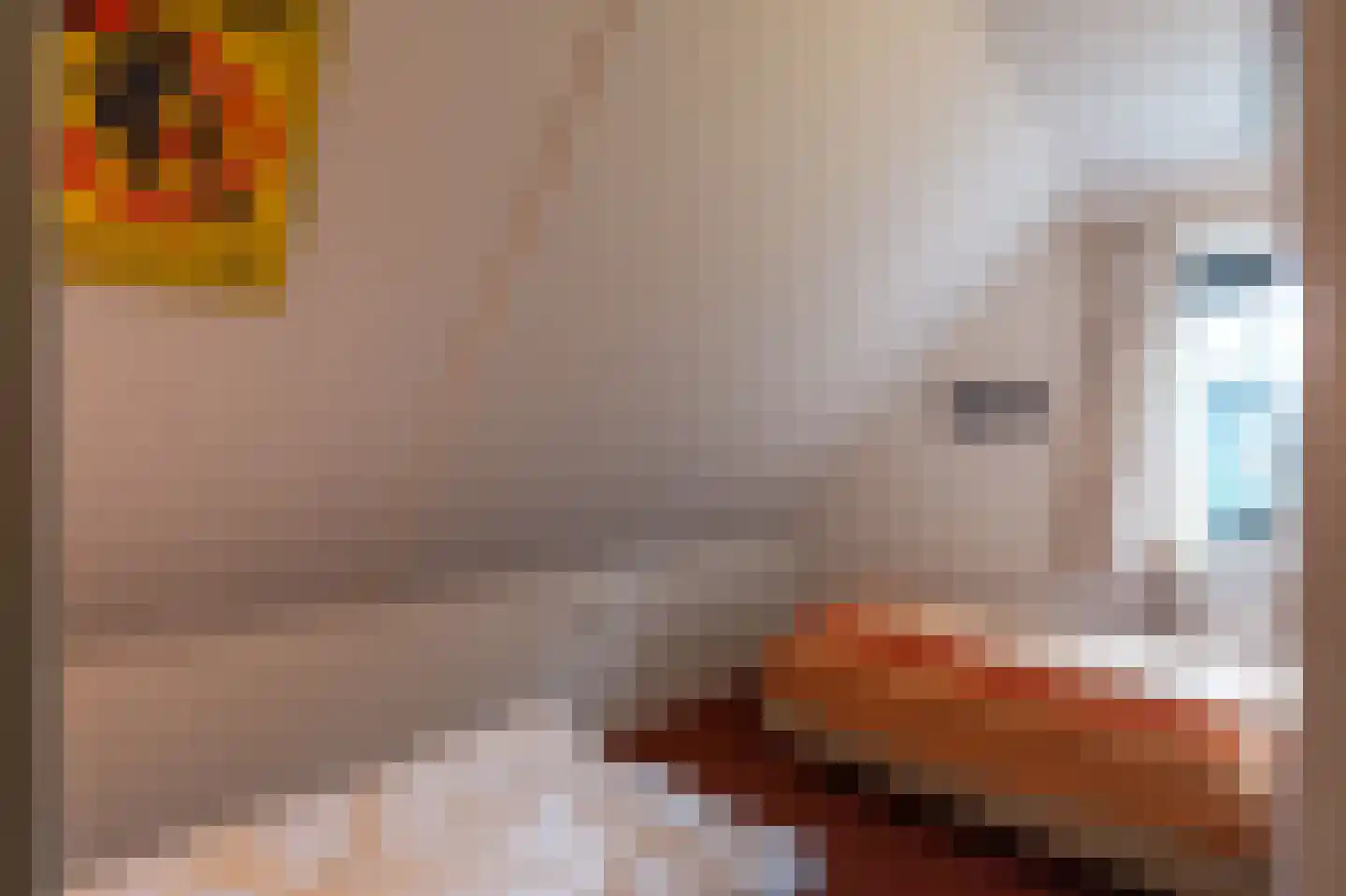 Noorder Sandt 4 36 Julianadorp thumbnail 24