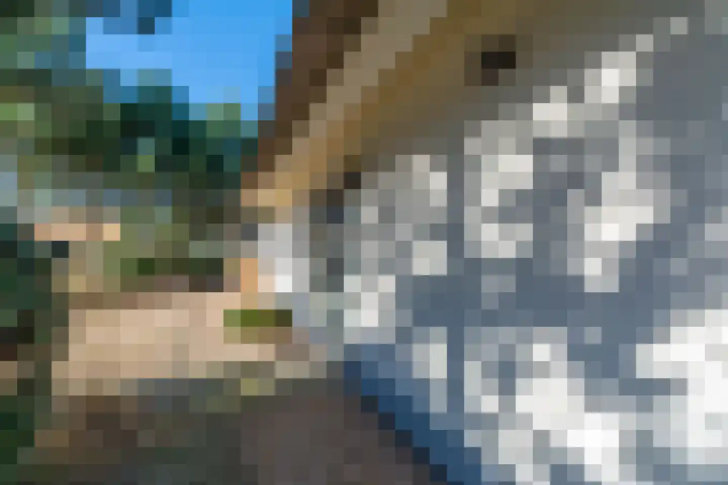 Noorder Sandt 4 36 Julianadorp thumbnail 29