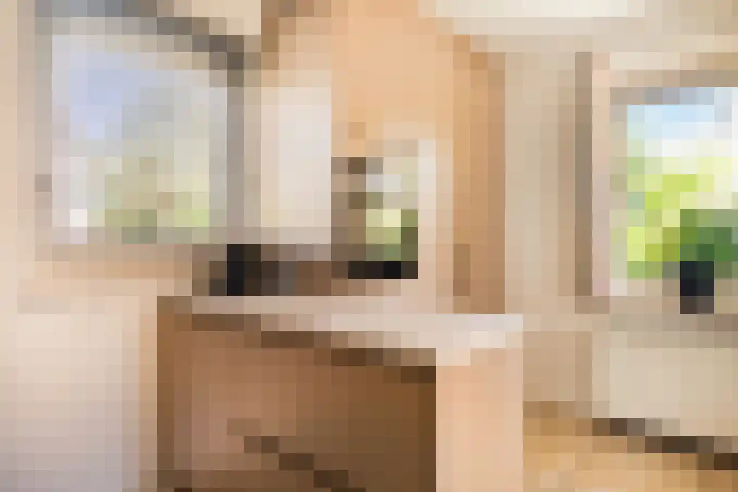 Noorder Sandt 4 6 Julianadorp thumbnail 16