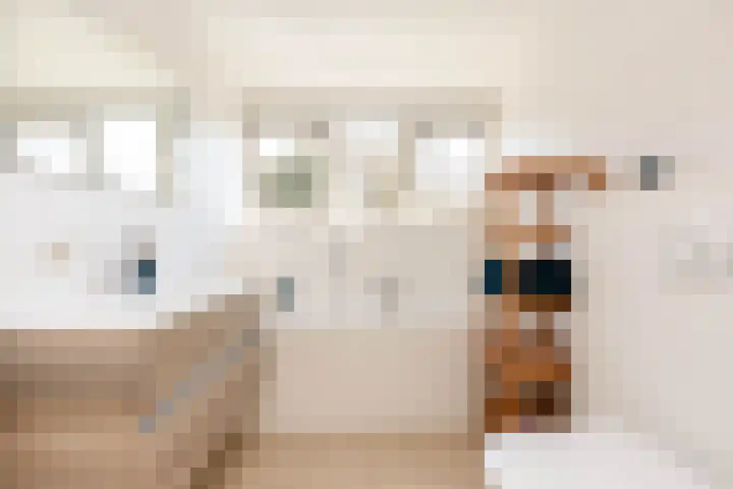 Noorder Sandt 4 6 Julianadorp thumbnail 30