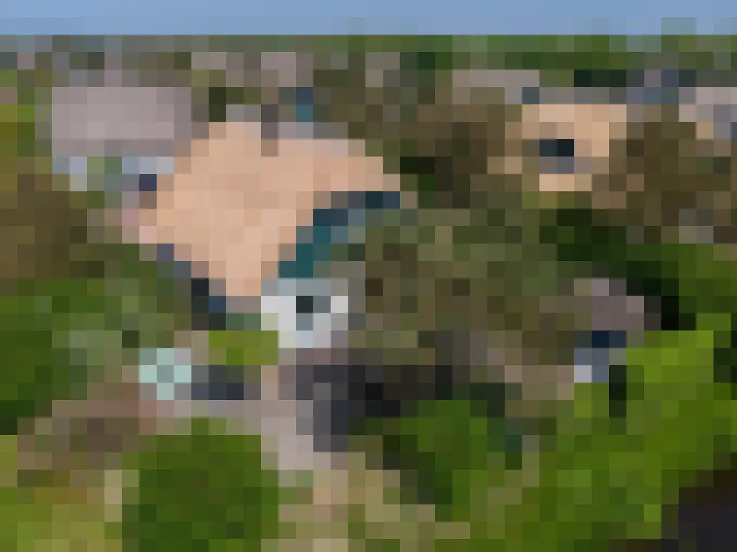 Noorder Sandt 4 6 Julianadorp thumbnail 43