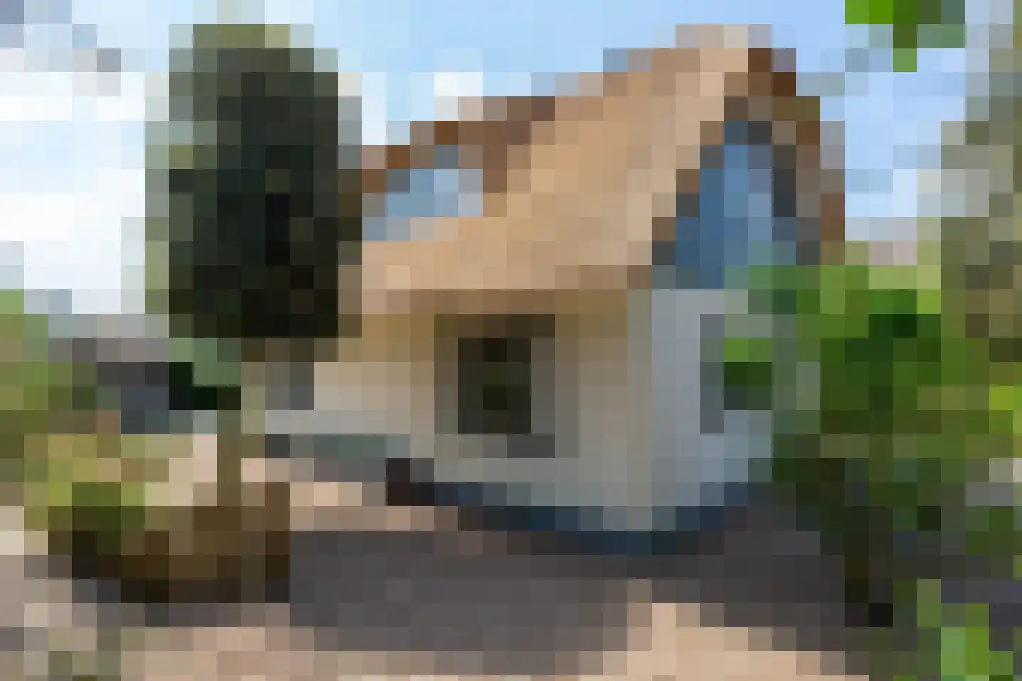 Noorder Sandt 4 6 Julianadorp thumbnail 44