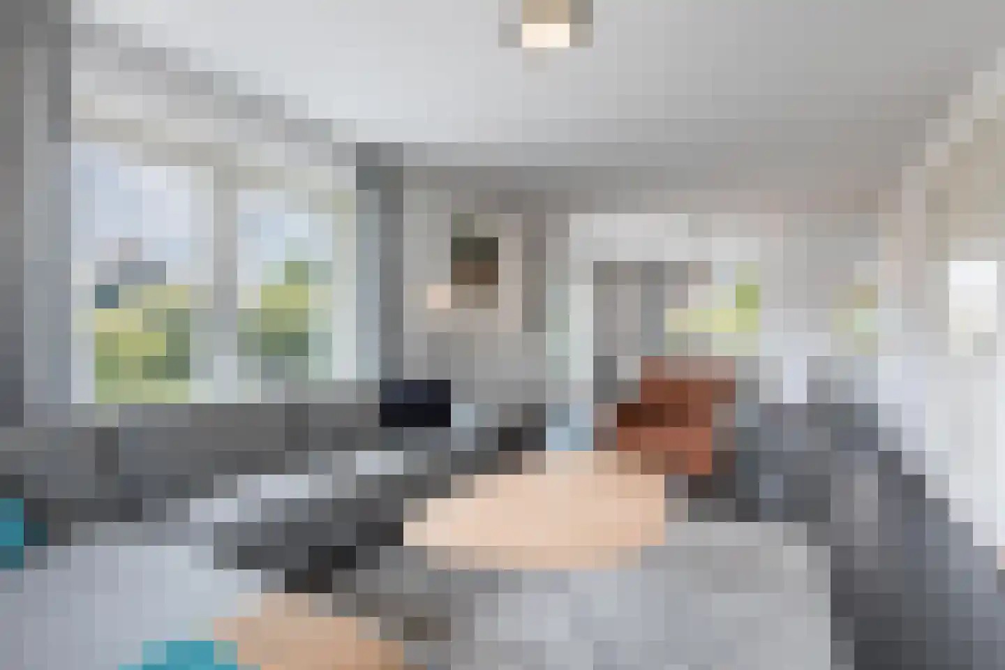 Noorder Sandt 6 20 Julianadorp thumbnail 14