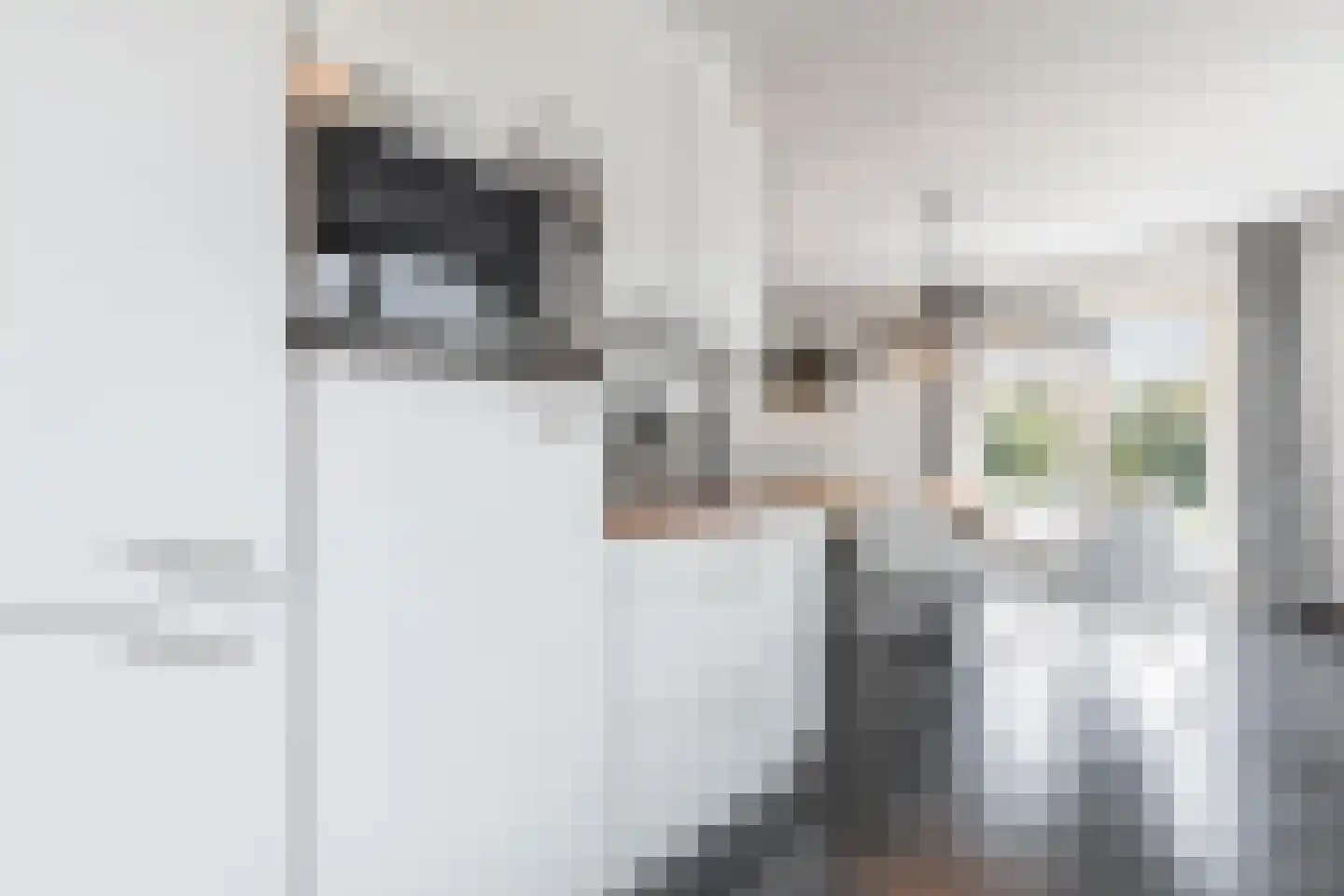 Noorder Sandt 6 20 Julianadorp thumbnail 20