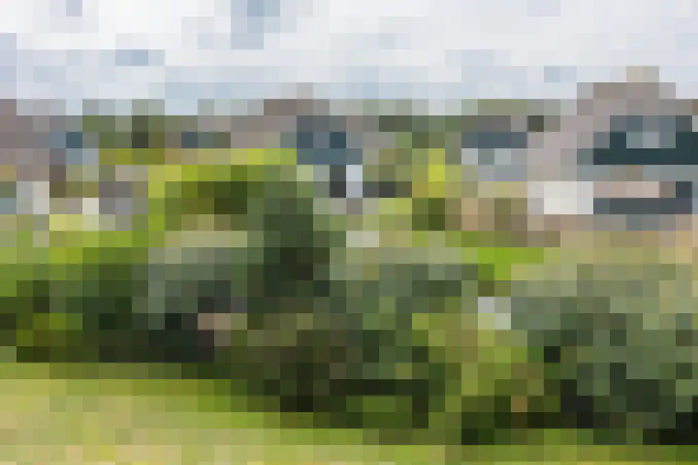 Noorder Sandt 6 20 Julianadorp thumbnail 34