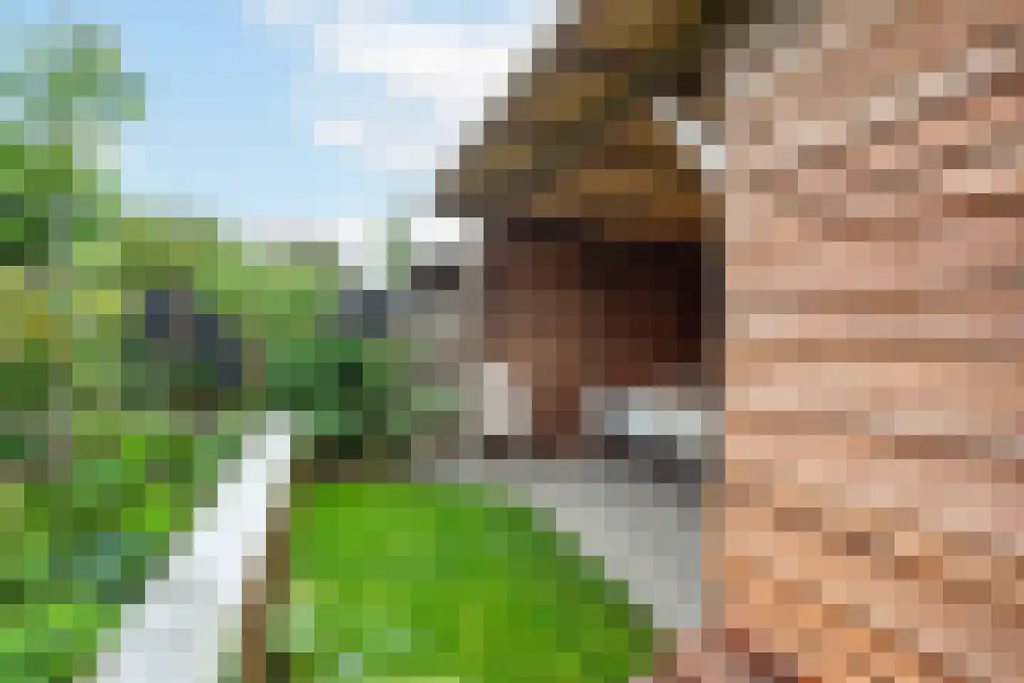 Noorder Sluisstraat 40 Hem thumbnail 44