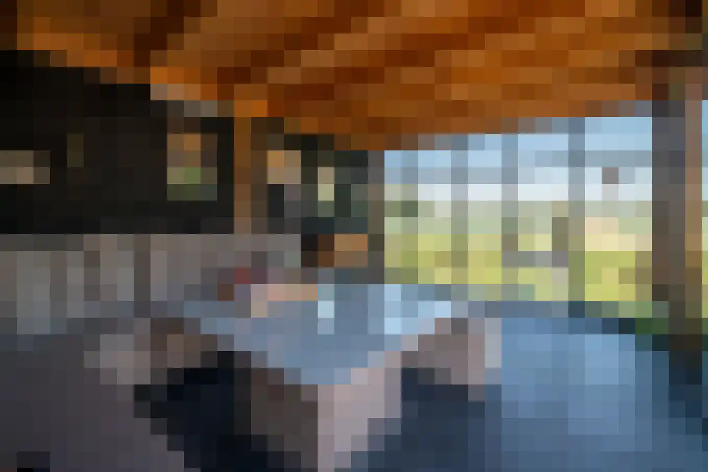 Noorder Sluisstraat 6 Hem thumbnail 29