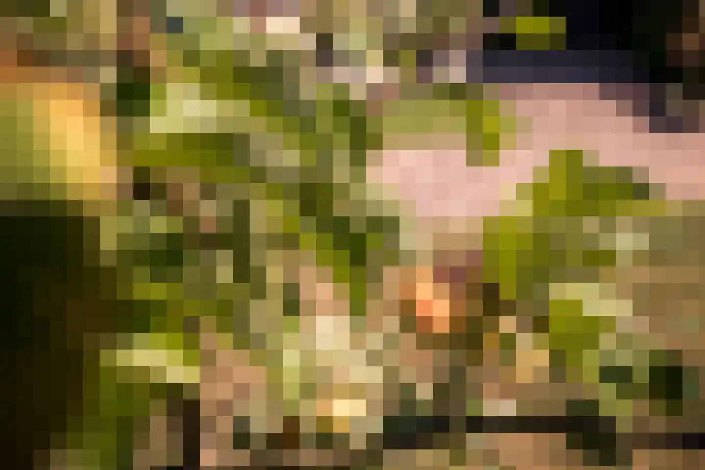 Noorder Sluisstraat 6 Hem thumbnail 36
