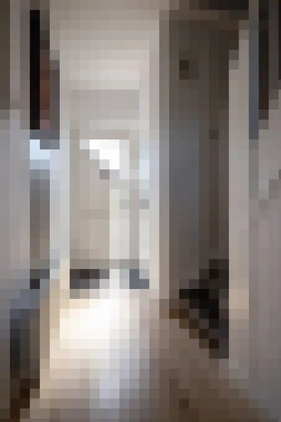 Noorder Sluisstraat 6 Hem thumbnail 46