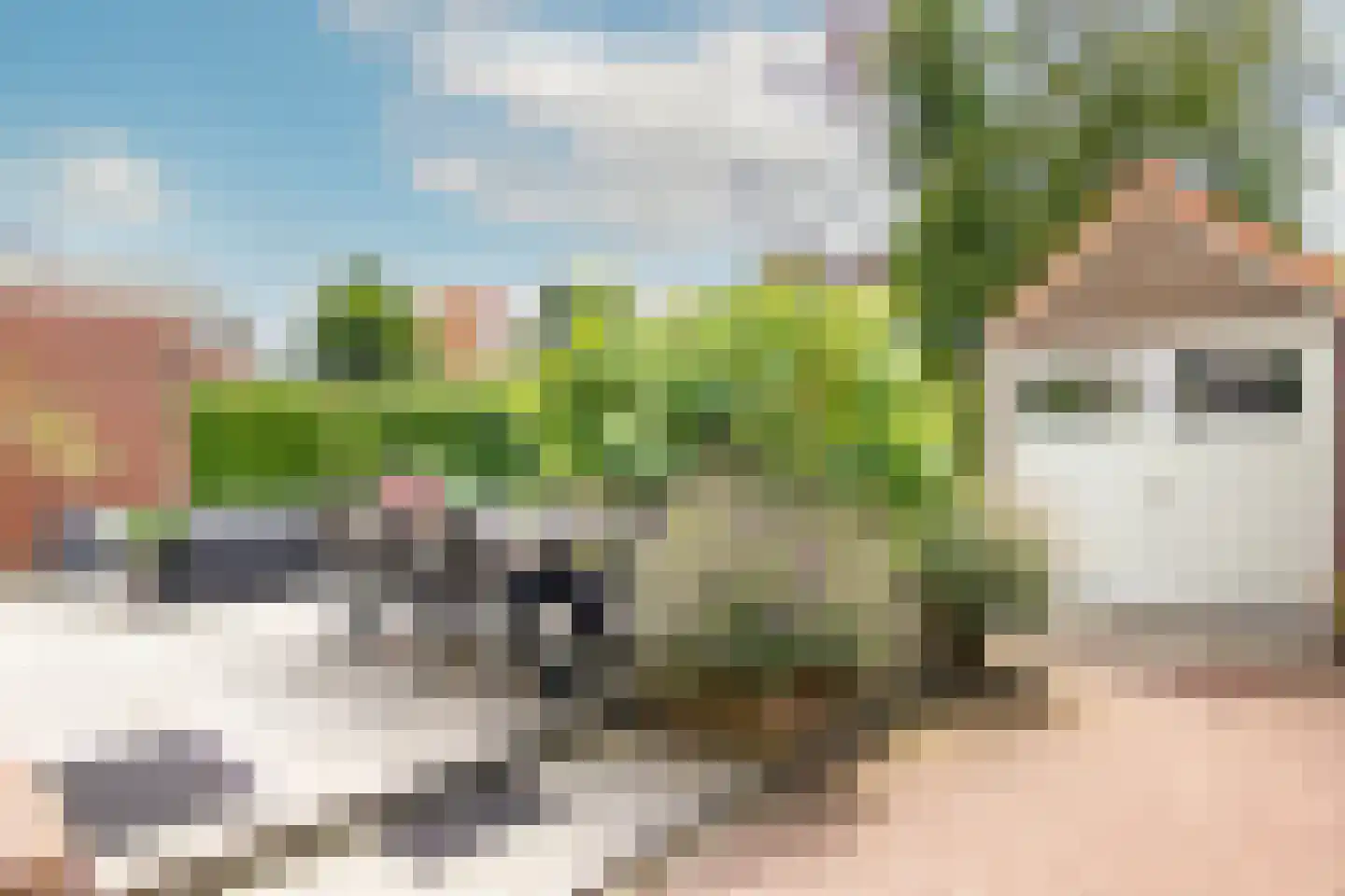 Noorder Stationsweg 24 Bloemendaal thumbnail 19