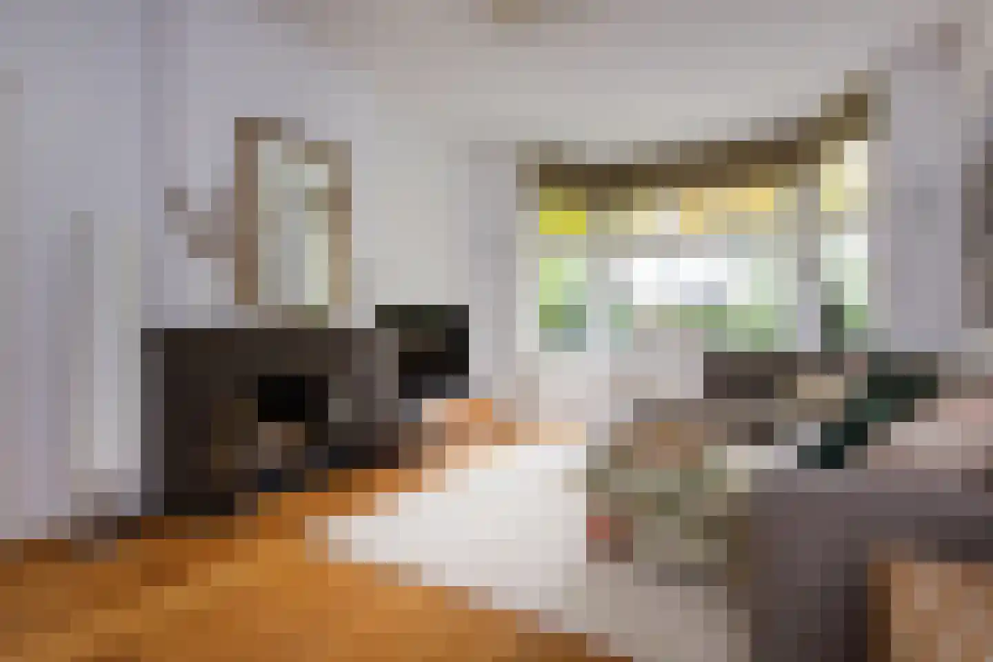 Noorder Stationsweg 24 Bloemendaal thumbnail 4