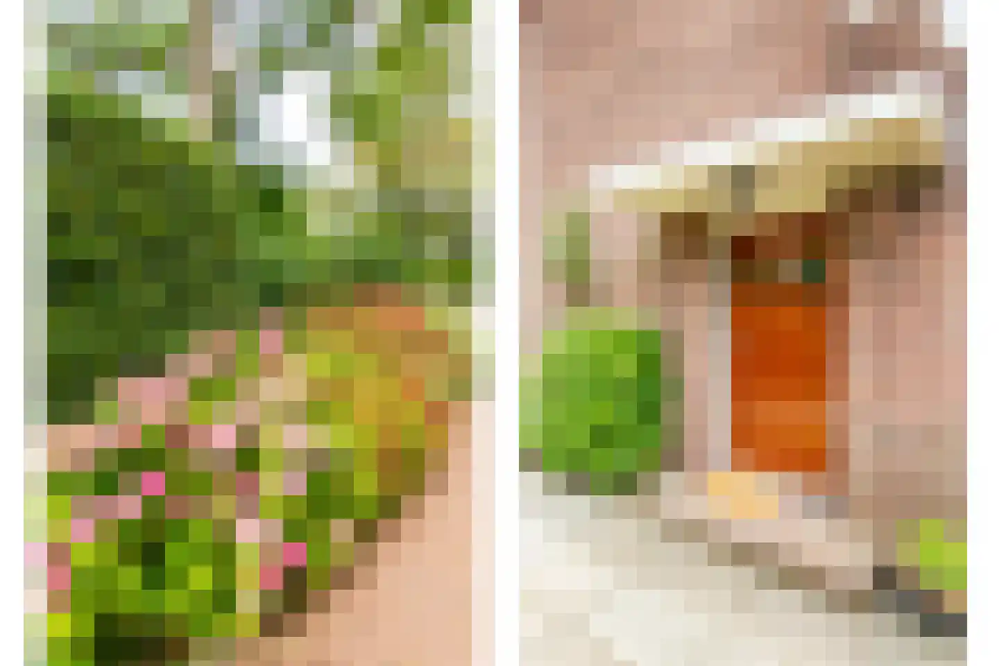 Noorder Stationsweg 24 Bloemendaal thumbnail 47