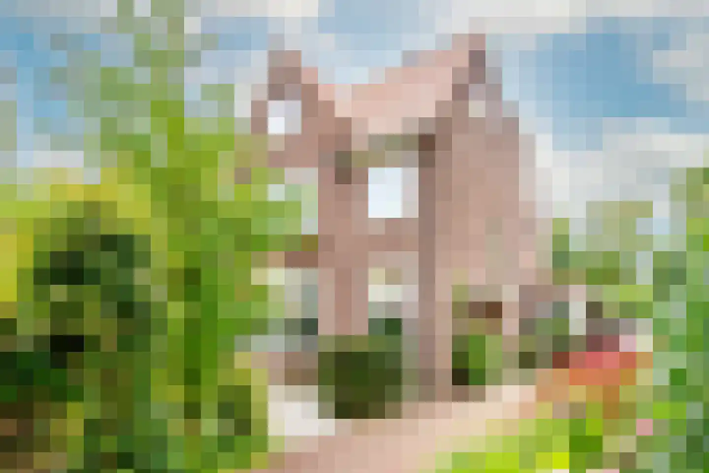 Noorder Stationsweg 24 Bloemendaal thumbnail 48