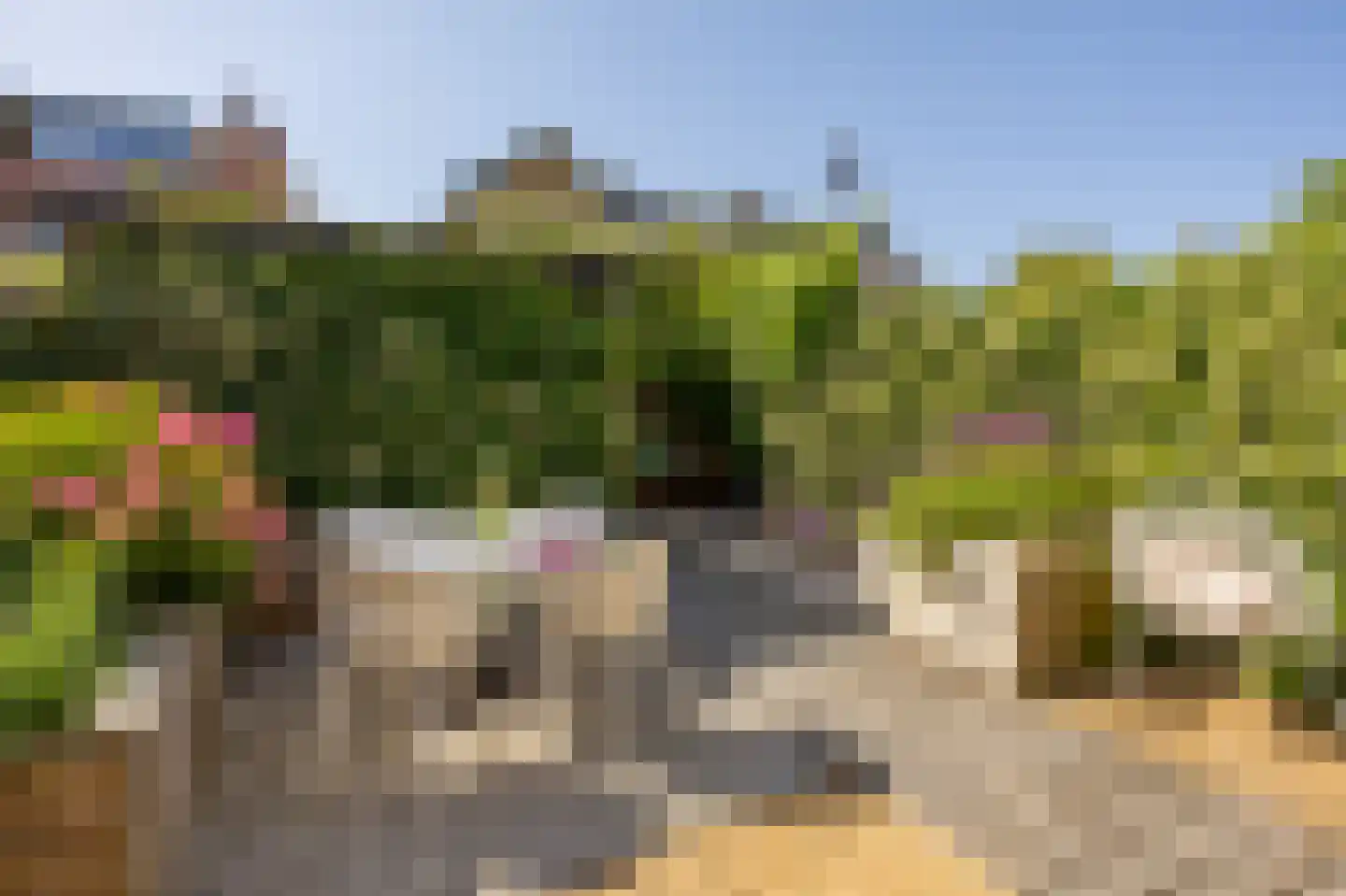 Noorder Tuindorpslaan 53 Haarlem thumbnail 12
