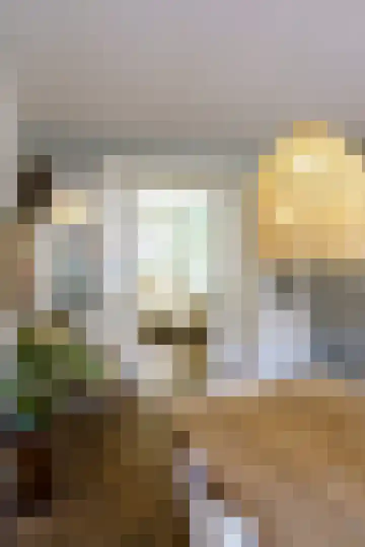 Noorder Tuindorpslaan 64 Haarlem thumbnail 30