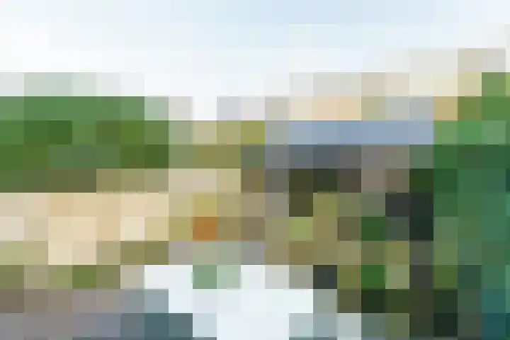 Noorder Tuindorpslaan 64 Haarlem thumbnail 4