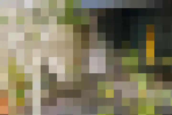 Noorder Tuindorpslaan 64 Haarlem thumbnail 5