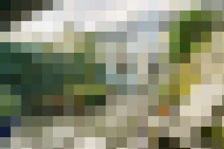 Noorder Tuindorpslaan 64 Haarlem thumbnail 6