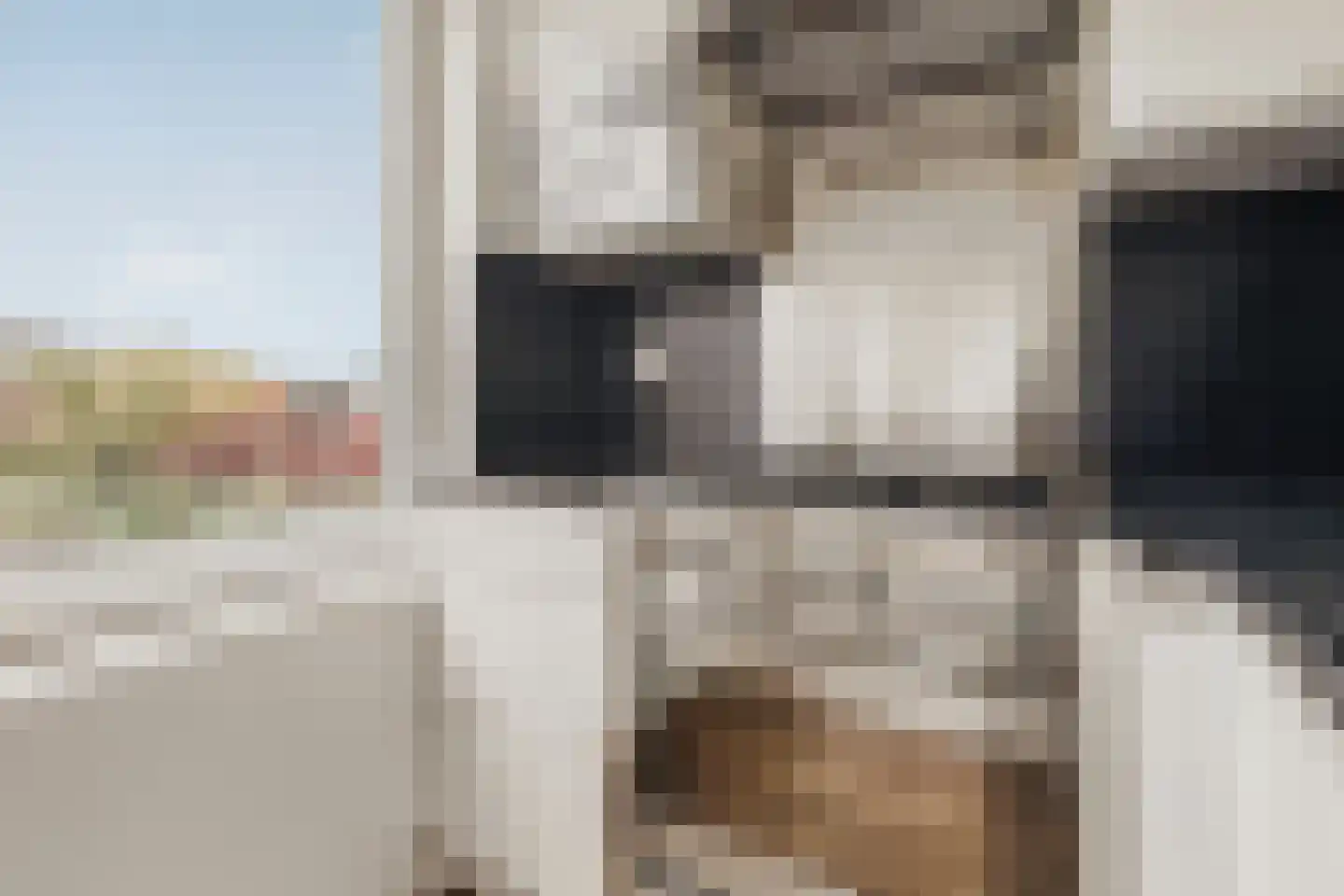 Noorder Valdeur 5 Amsterdam thumbnail 15