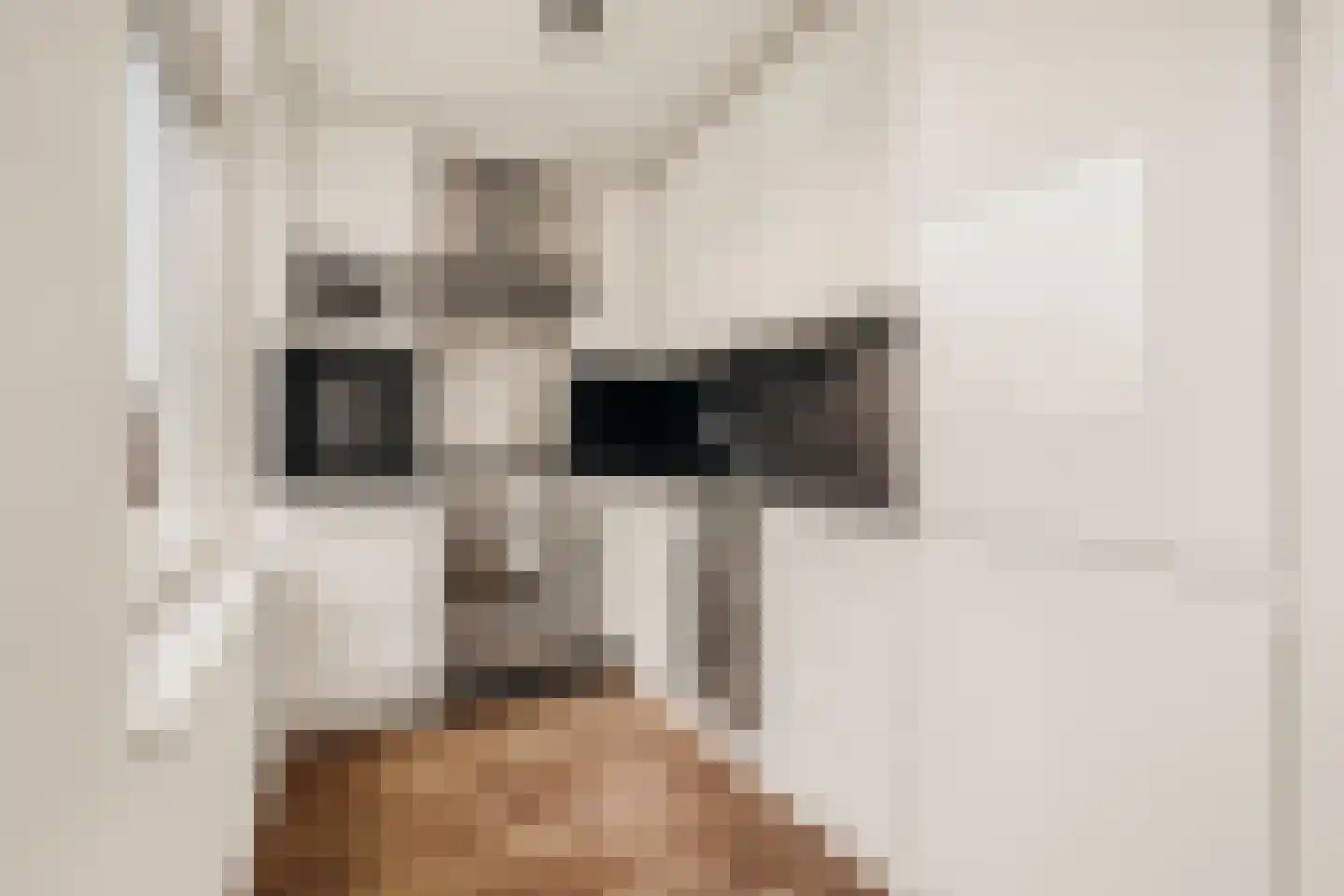 Noorder Valdeur 5 Amsterdam thumbnail 4