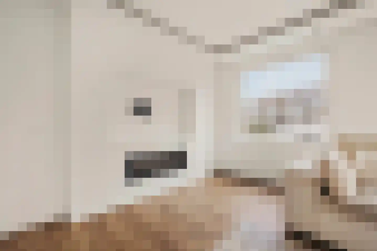 Noorder Valdeur 5 Amsterdam thumbnail 8