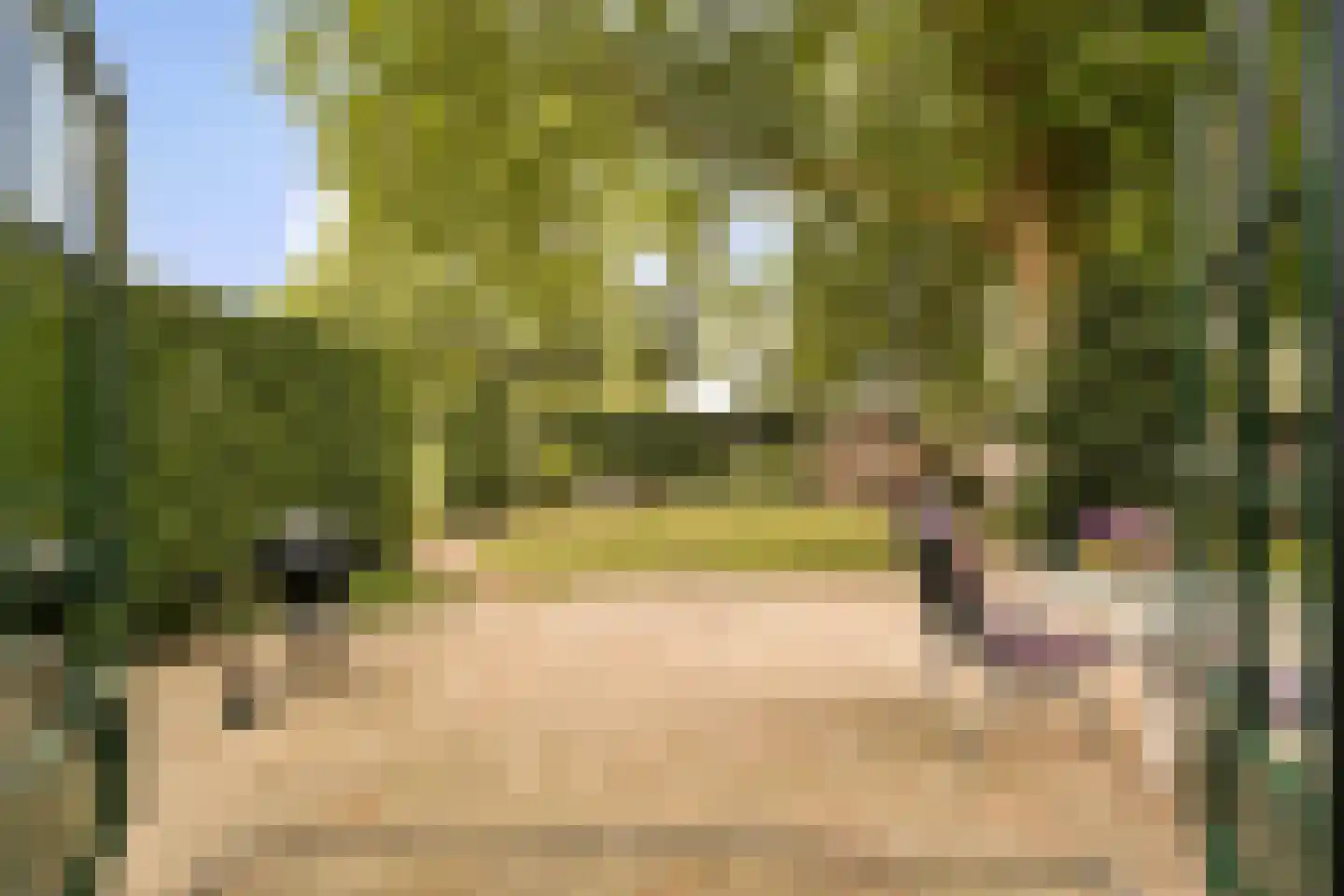 Noorderakerweg 13 Amsterdam thumbnail 14
