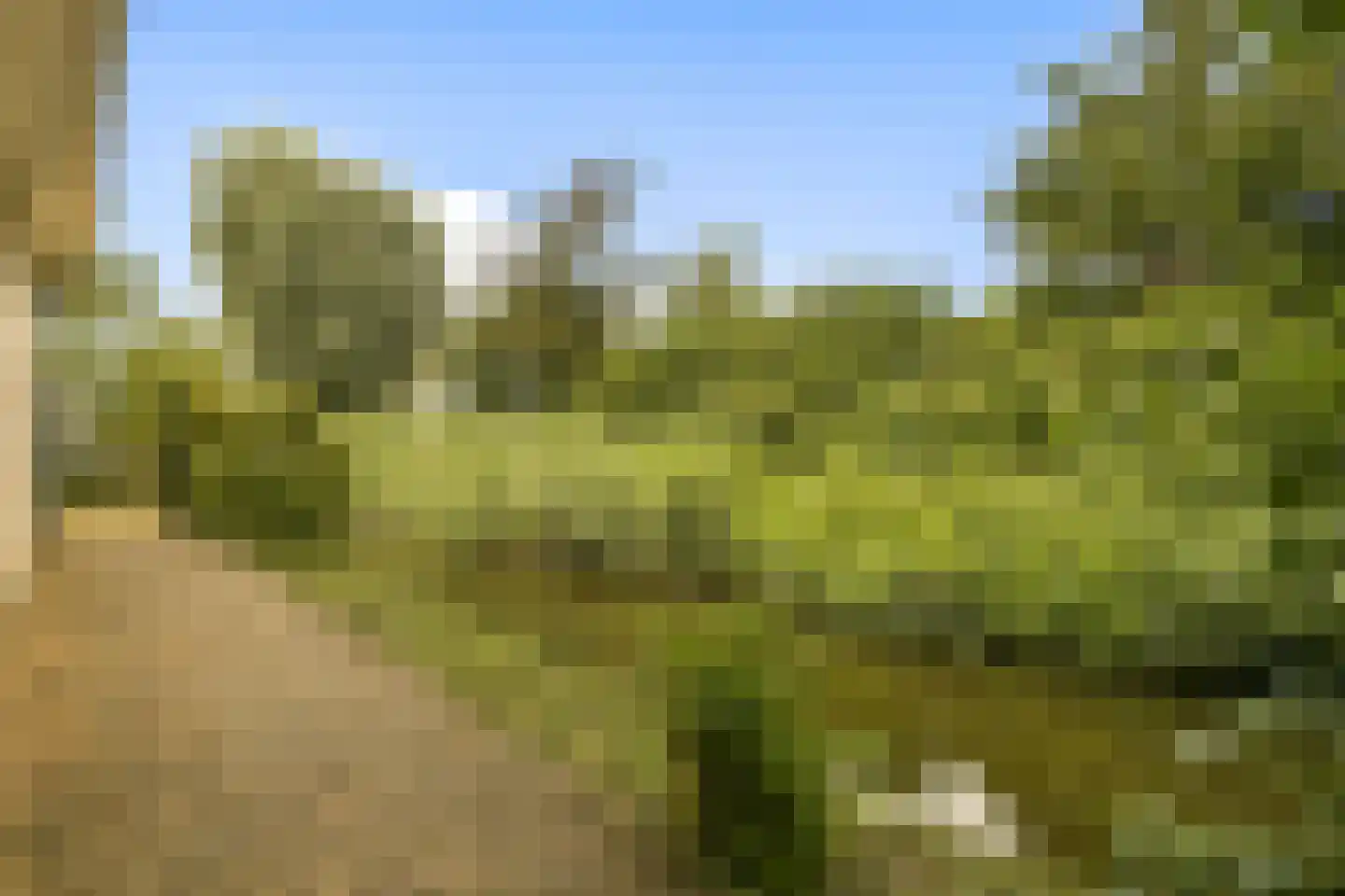 Noorderakerweg 13 Amsterdam thumbnail 18