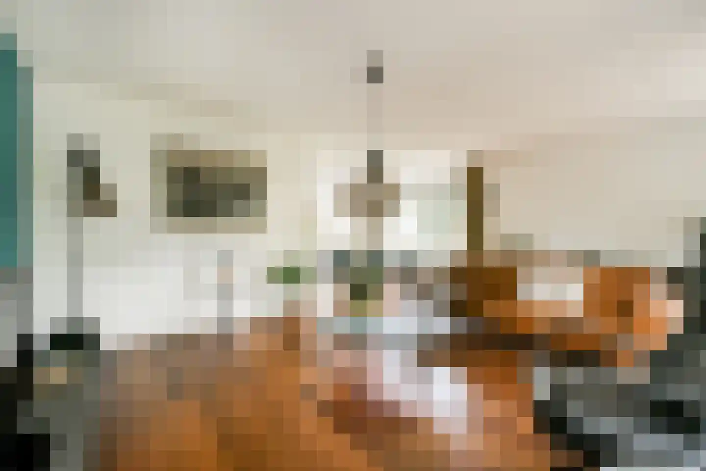 Noorderakerweg 13 Amsterdam thumbnail 8
