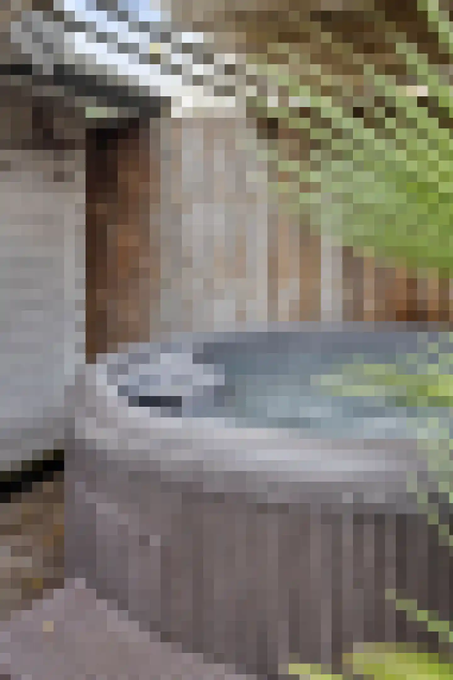 Noorderakerweg 14 Amsterdam thumbnail 38