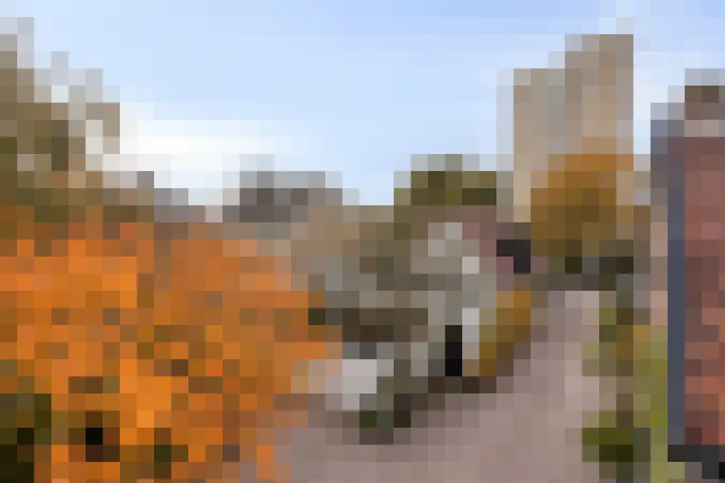 Noorderakerweg 14 Amsterdam thumbnail 4