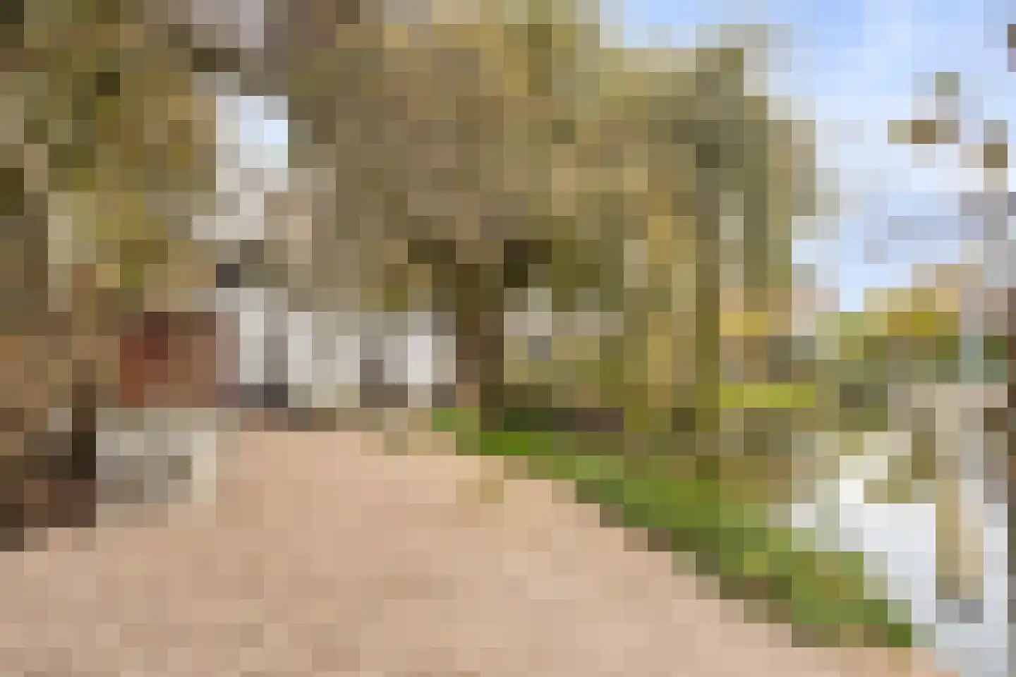 Noorderakerweg 14 Amsterdam thumbnail 44