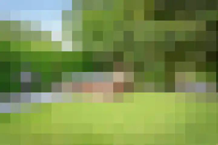 Noorderakerweg 28 Amsterdam thumbnail 17